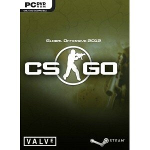 Counter Strike : Global Offensive